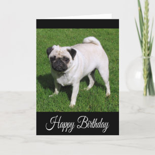 Happy Birthday Pug Puppy Dog Wenskaart Kaart