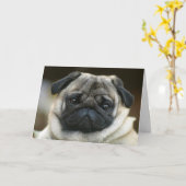 Happy Birthday Pug Puppy Dog Wenskaart - Verse Kaart (Gele Bloem)