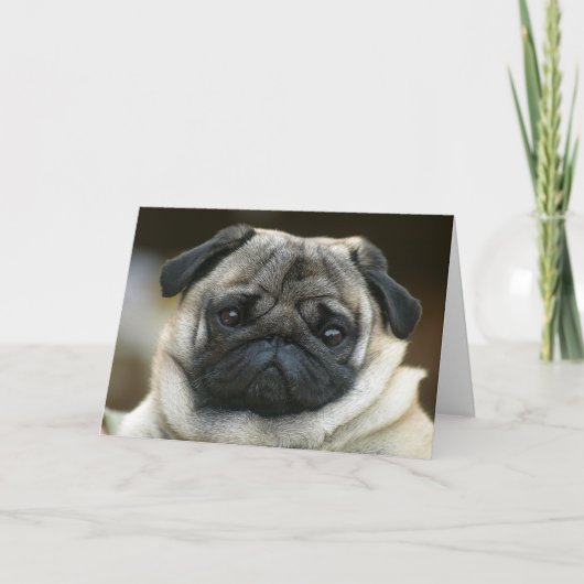Happy Birthday Pug Puppy Dog Wenskaart - Verse Kaart (Voorkant)
