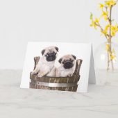 Happy Birthday Pug Puppy Dog Wenskaart - Verse Kaart (Gele Bloem)