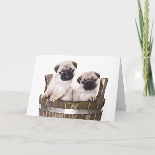 Happy Birthday Pug Puppy Dog Wenskaart - Verse Kaart (Voorkant)
