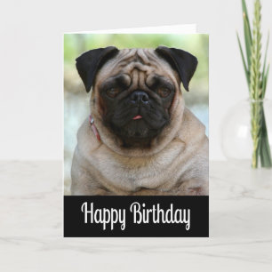 Happy Birthday Pug Puppy Dog Zwart Wenskaart Kaart