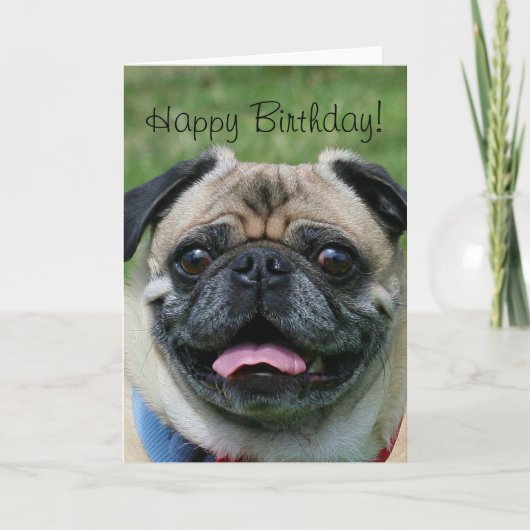 Happy Birthday Pug Wenskaart Kaart (Voorkant)