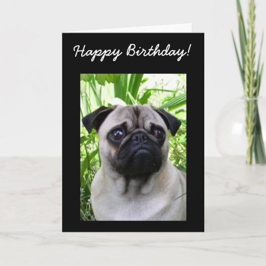 Happy Birthday Pug wenskaart Kaart (Voorkant)