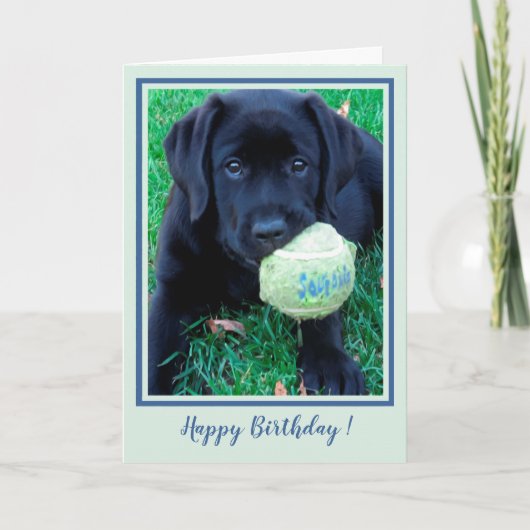 Happy Birthday Puppy Black Labrador - Cute Dog Kaart (Voorkant)