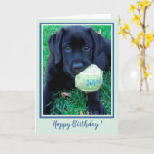 Happy Birthday Puppy Black Labrador - Cute Dog Kaart (Gele Bloem)