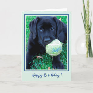 Happy Birthday Puppy Black Labrador - Cute Dog Kaart
