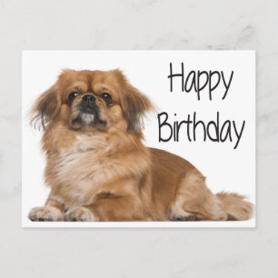 Happy Birthday Puppy Dog Zwart Briefkaart