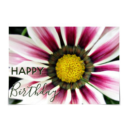 "Happy Birthday" Purple Gazania Flower Kaart