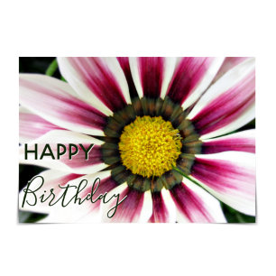 "Happy Birthday" Purple Gazania Flower Kaart