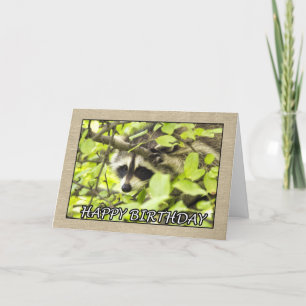 Happy Birthday Raccoon in Tree Kaart