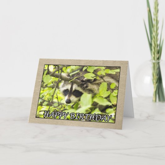 Happy Birthday Raccoon in Tree Kaart (Voorkant)