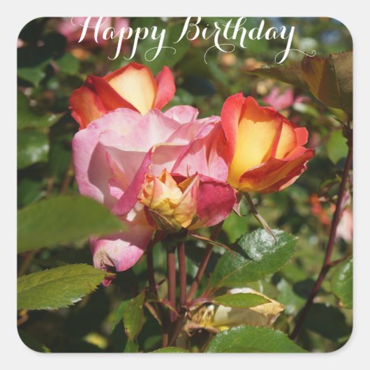 Happy Birthday Rainbow Sorbet Roos #2 Stickers (Voorkant)