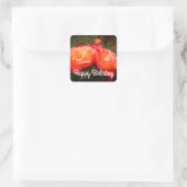 Happy Birthday Rainbow Sorbet Roos #3 Stickers (Tas)