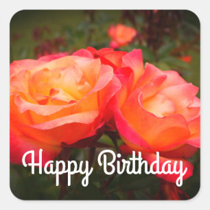 Happy Birthday Rainbow Sorbet Roos #3 Stickers