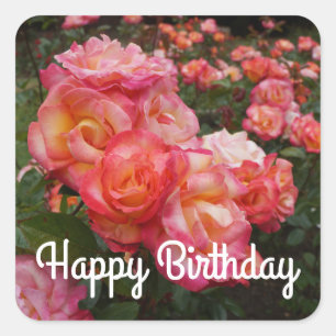 Happy Birthday Rainbow Sorbet Roos #4 Stickers