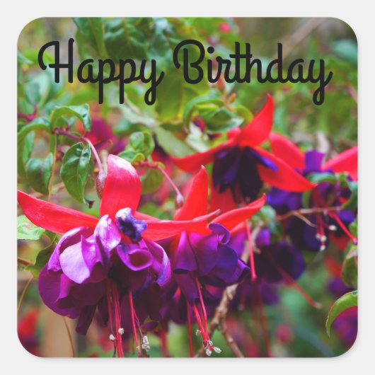 Happy Birthday Red en Paarse Fuchsia #2 Stickers (Voorkant)