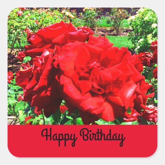 Happy Birthday Red Rose #1 Stickers (Voorkant)