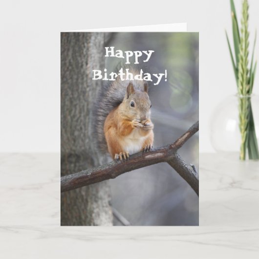 Happy Birthday Red Squirrel Wenskaart Kaart (Voorkant)