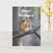 Happy Birthday Red Squirrel Wenskaart Kaart (Gele Bloem)