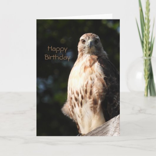 Happy Birthday Red Tail Hawk Kaart (Voorkant)