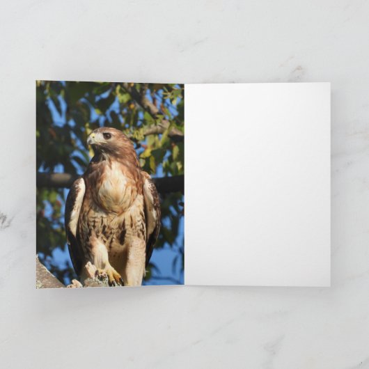 Happy Birthday Red Tail Hawk Kaart (Binnen)