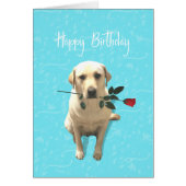 Happy Birthday, Retriever Dog met Roos, Schattig (Voorkant)