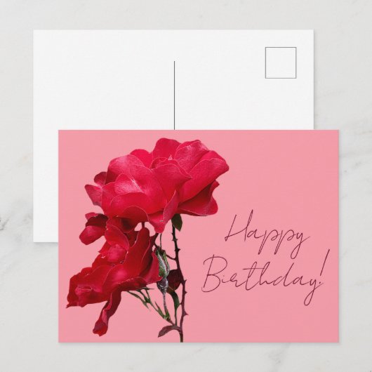 Happy Birthday  rode roos kleurrijke bloemen Briefkaart (Voorkant / Achterkant)