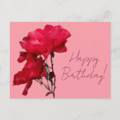 Happy Birthday  rode roos kleurrijke bloemen Briefkaart (Voorkant)