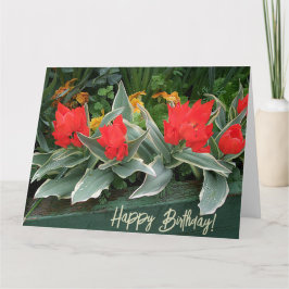 Happy Birthday  rode tulpen floral stijlvol Kaart