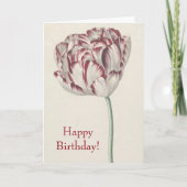 Happy Birthday -  rood en wit Tulip Kaart (Voorkant)