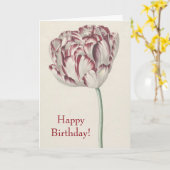Happy Birthday -  rood en wit Tulip Kaart (Gele Bloem)
