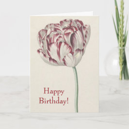 Happy Birthday - rood en wit Tulip Kaart