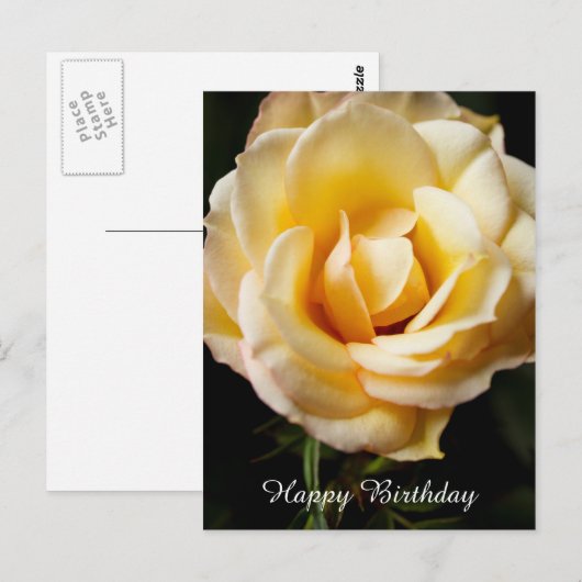 Happy Birthday Roos Briefkaart (Voorkant / Achterkant)