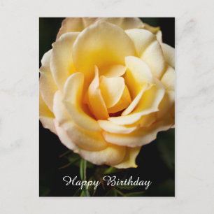 Happy Birthday Roos Briefkaart
