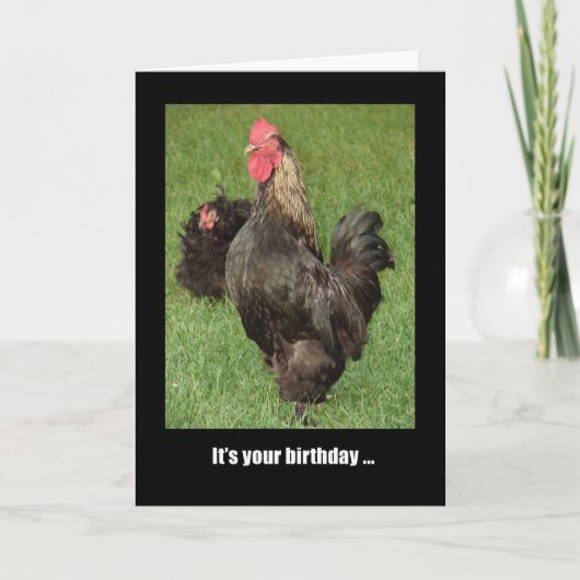 Happy Birthday Rooster, Strut Your Stuff! Kaart (Voorkant)
