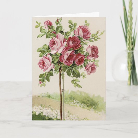 Happy Birthday Rose tree Kaart (Voorkant)