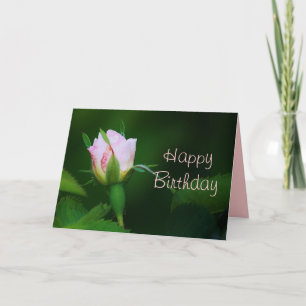 Happy Birthday Rosebud Kaart