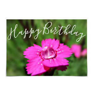 "Happy Birthday" Roze Dianthus Raindrop Kaart