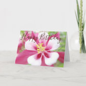 "Happy Birthday" roze en witte Kaart (Voorkant)