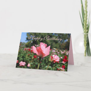 Happy Birthday roze rozen in de tuin Kaart