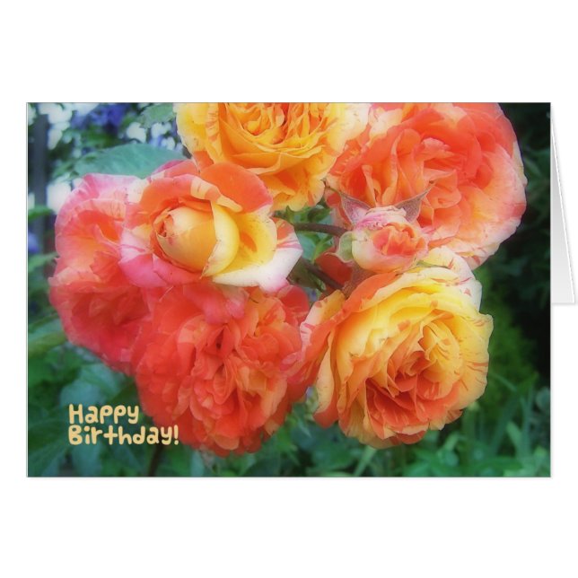 Happy Birthday Rozen (Voorkant Horizontaal)