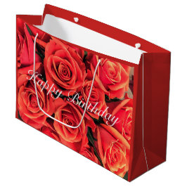 Happy Birthday Rozen Gift Bag Large Cadeautasje