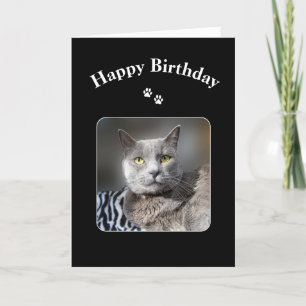 Happy Birthday Russian Blue Cat Kaart