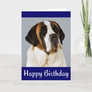 Happy Birthday Saint Bernard Puppy Dog Card Kaart