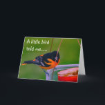 **HAPPY BIRTHDAY* SAYS BIRDIE KAART<br><div class="desc">HAPPY BIRTHDAY WISHES FROM THIS BEAUTIFUL BALTIMORE ORIOLE AND FROM WHOMEVER SIGNS THE CARD:) THANKS FOR STOPPING BY 1 OF MY 8 STORES.</div>