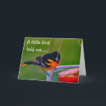 **HAPPY BIRTHDAY* SAYS BIRDIE KAART<br><div class="desc">HAPPY BIRTHDAY WISHES FROM THIS BEAUTIFUL BALTIMORE ORIOLE AND FROM WHOMEVER SIGNS THE CARD:) 
THANKS FOR STOPPING BY 1 OF MY 8 STORES.</div>
