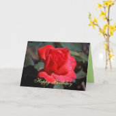 Happy Birthday Scarlet Roos Kaart (Gele Bloem)