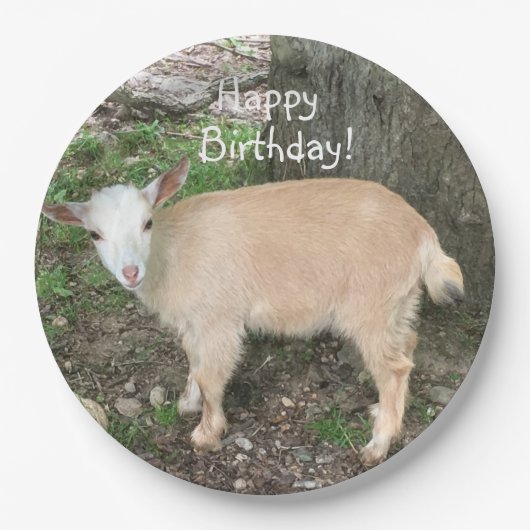 Happy Birthday Schattig Baby Goat Papieren Bordje (Voorkant)