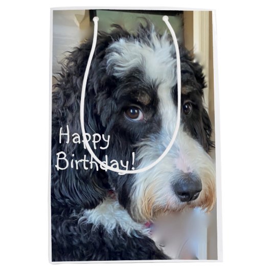 Happy Birthday Schattig Bernedoodle Medium Cadeauzakje (Voorkant)